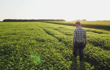 Landbouwer op het veld