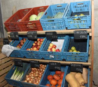 Hoevewinkel koeweidehof Merchtem