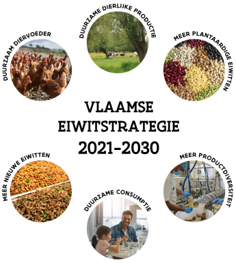Vlaamse eiwitstrategie 2021 - 2030