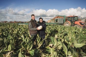 Pieter De Bevere met zijn vrouw op een perceel met bloemkolen