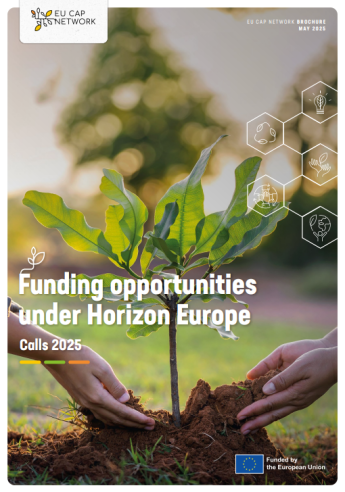 Foto brochure Financieringsmogelijkheden binnen de Horizon Europe oproepen van 2025. (c) EU CAP Network