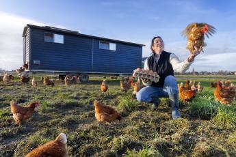Een boerin tussen haar kippen die scharrelen in het gras