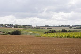 landbouwlandschap