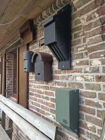 Vleermuiskasten aan een muur bevestigd