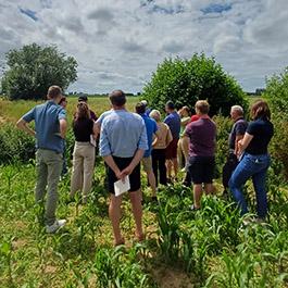 groep mensen in veld
