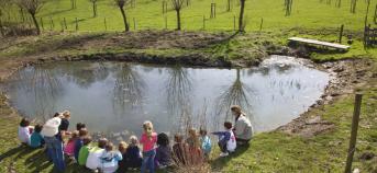 Kinderen aan een poel