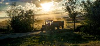 Tractor in veld bij ondergaande zon