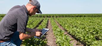 Landbouwer met tablet in het veld