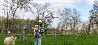 Landbouwster bij haar schapen