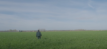 perceel met landbouwer en eiwitteelt