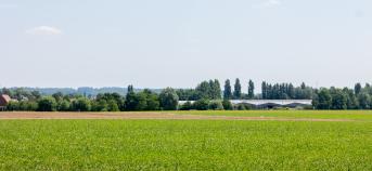 landbouwlandschap