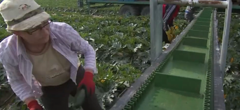 VLIF Agrovoeding