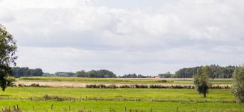 weidelandschap