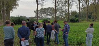 Mensen in een veld