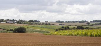 landbouwlandschap
