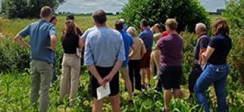 groep mensen in veld