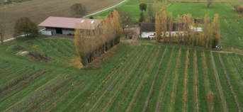 veld met landbouwbedrijf